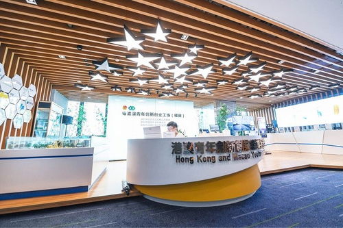 深圳 四十載風華織就城市文化底蘊，經紀人服務賦能藝術新生態